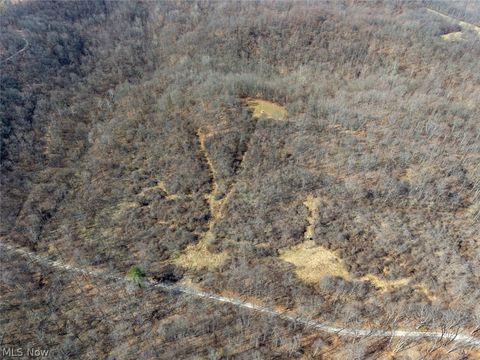 Tiny photo for 0 Clem Garvin Road, Caldwell, OH 43724 (MLS # 5195956)