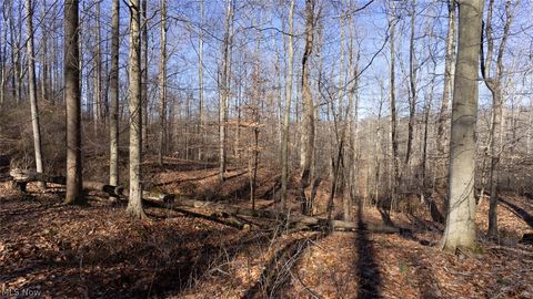 Tiny photo for 0 Clem Garvin Road, Caldwell, OH 43724 (MLS # 5195956)