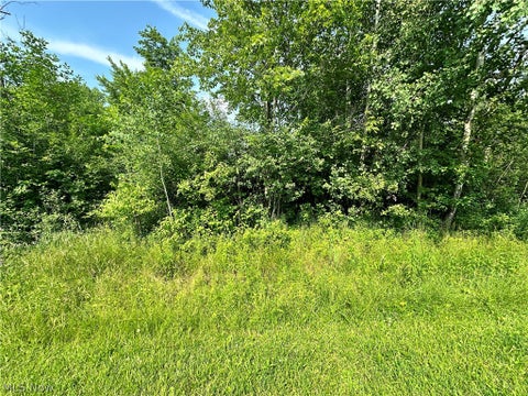 Photo for 667 Wren Circle