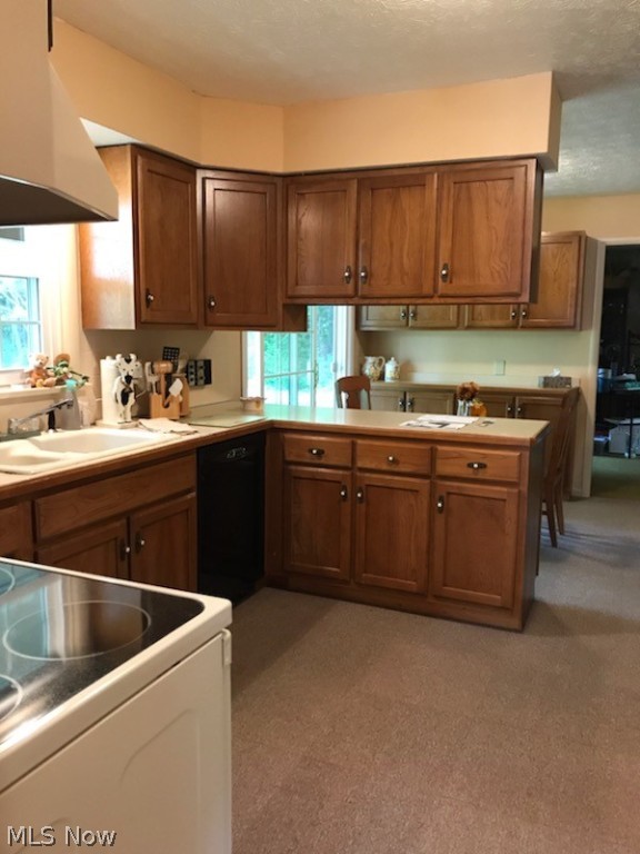 Carriage Hills 04 - Residential