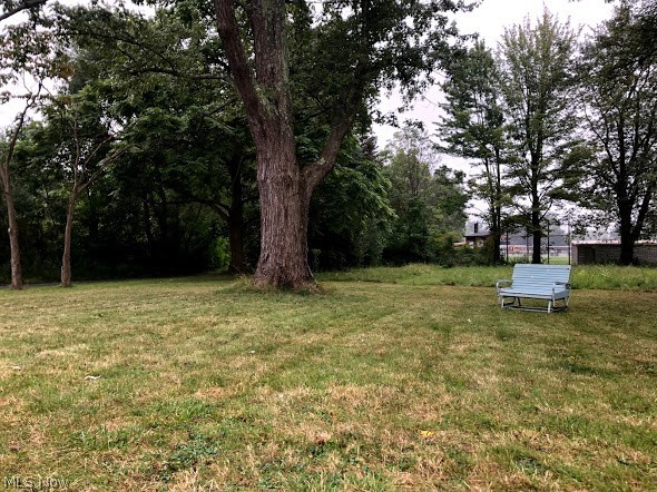 Village/Burton - Residential