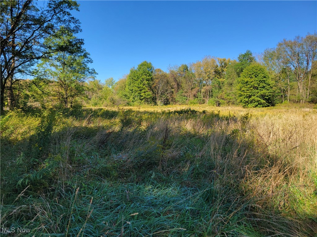 "Recently subdivided from approximately 24+ acres, now offering about 19.74 acres of gently rolling commercial/residential vacant land. Features extensive frontage on State Route 14 and Infirmary, providing excellent visibility and access. Zoned CR, making it ideal for a variety of diverse uses including commercial, residential, or mixed-use developments.Infirmary.