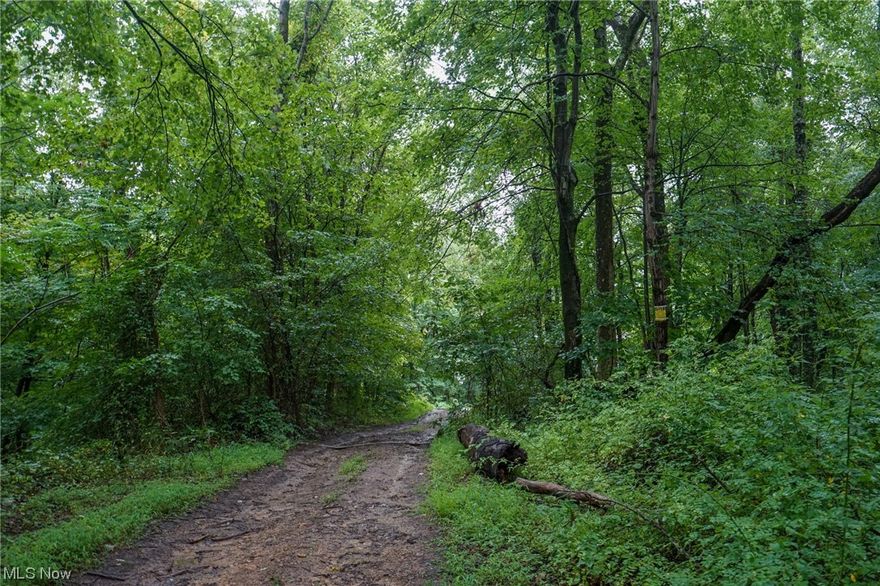 40 acres for sale in Washington County, Ohio. The perfect getaway from it all and the perfect property for fantastic hunting. Surrounded on three sides by thousands of acres of Wayne National Forest.

Features of this property include:

- 40 total acres 
- Property is nearly all wooded 
- Mix of mature and immature hardwoods throughout
- Some trails for access
- Small open area near access could be great for camper or off grid cabin
- Nice field for food plot
- Plenty of deer sign 
- Secluded and private 
- Property adjoins Wayne National Forest on 3 sides
- WNF adds thousands of acres for you to hunt, hike, and explore 
- Very close to the Ohio River (great for boating and fishing)
- Short drive off of St Rt 7
- 20 miles to New Martinsville, WV
- 30 Miles to Marietta, Ohio
- Mineral rights previously reserved 
- Topography varies from flat to rolling to steeper hillsides

It's not always easy to find property surrounded by the National Forest. You do not want to miss this opportunity as it will not last long. Property is enrolled in CAUV and current annual taxes are only $116. Call anytime with any questions or to schedule a time to view the property.