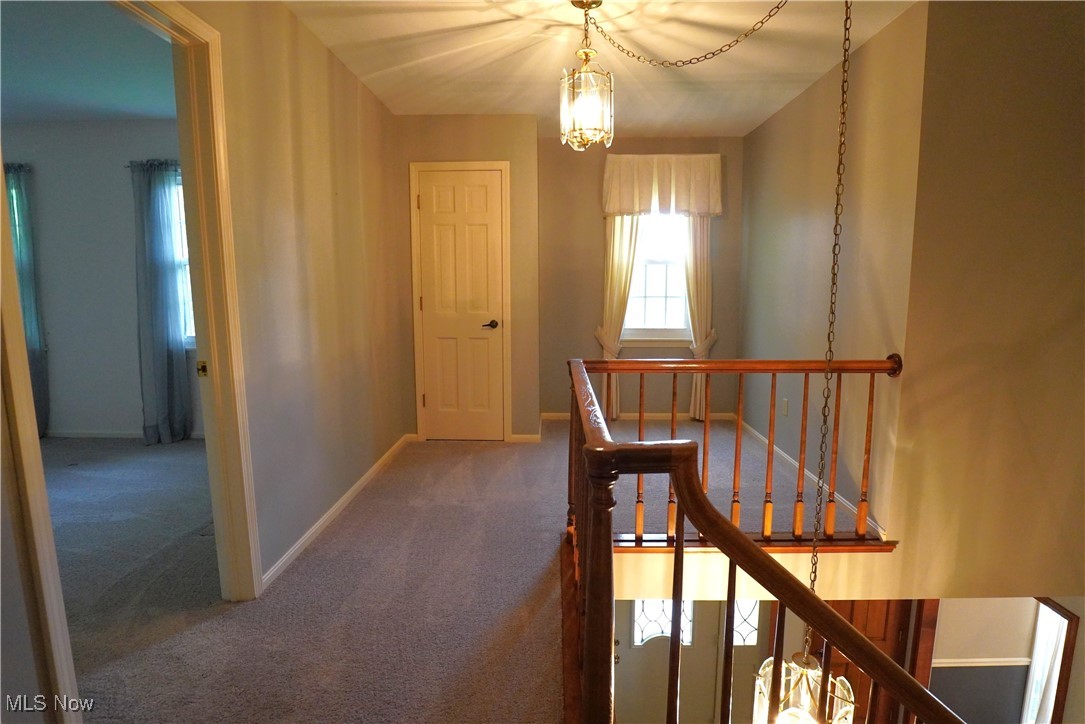 Steiner Heights - Residential