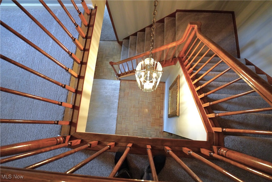 Steiner Heights - Residential