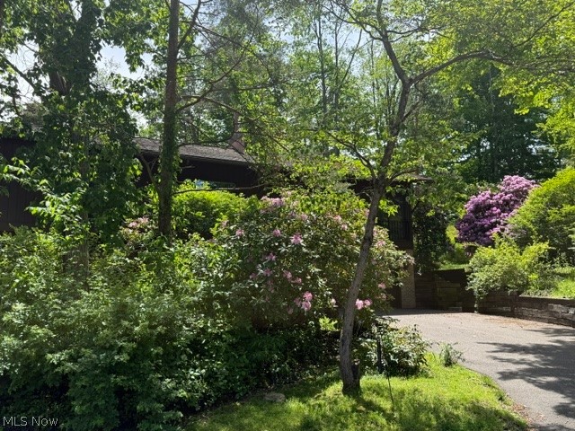 Pines - Residential