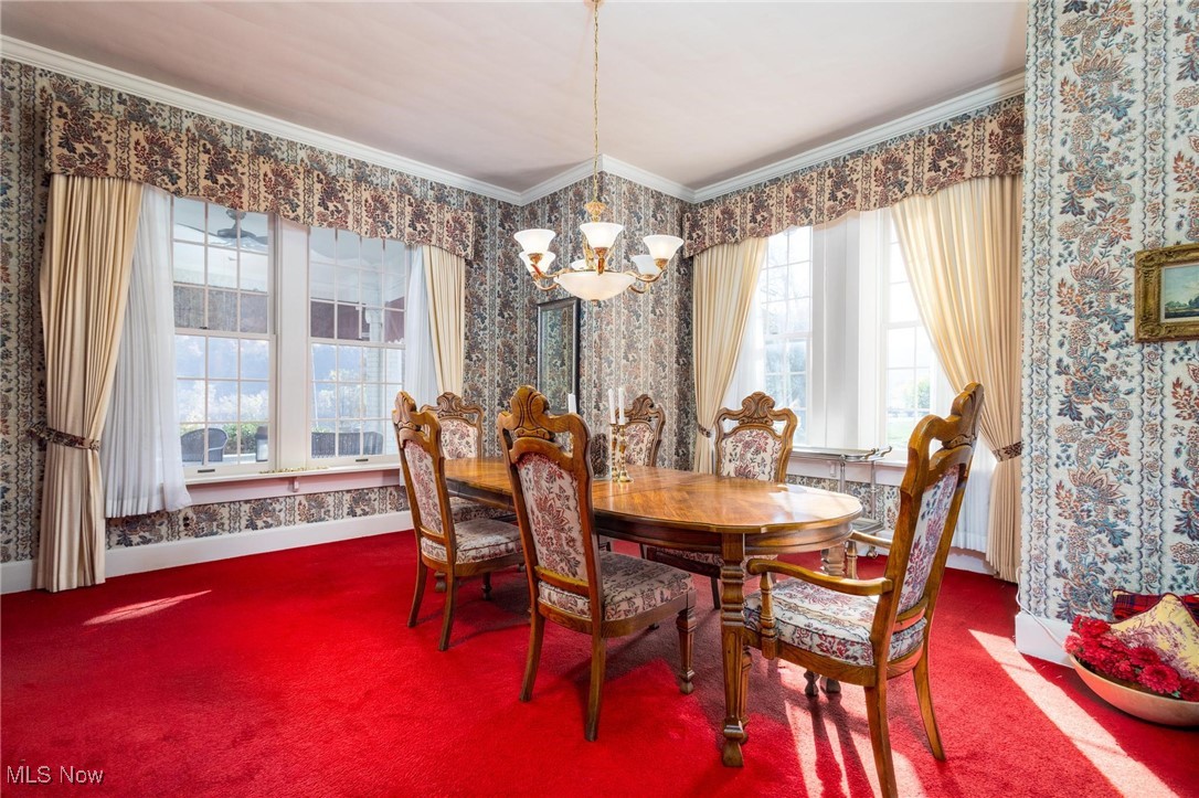 940 Greyton Road, Cleveland Heights, Ohio image 20