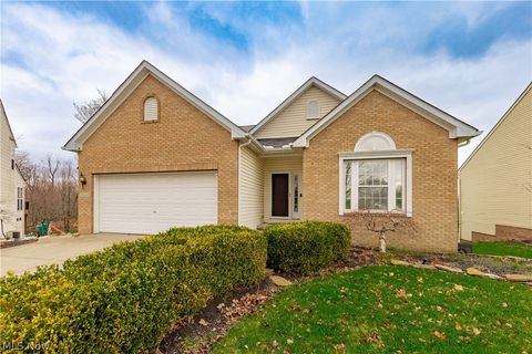 Homes For Sale - 10218 Ridgeview Court<br/> Streetsboro, OH 44241