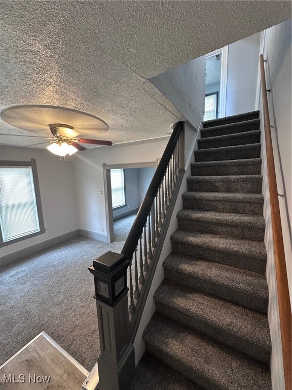 1334 W 6th Street, Lorain, Ohio image 13
