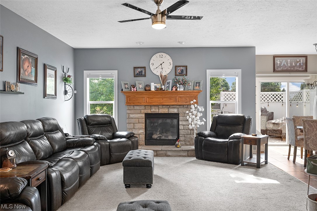 Vineyards/Old Mill - Residential