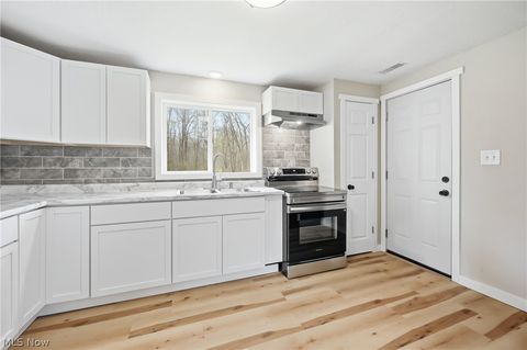 Tiny photo for 847 State Route 534 NW, Newton Falls, OH 44444 (MLS # 5202730)