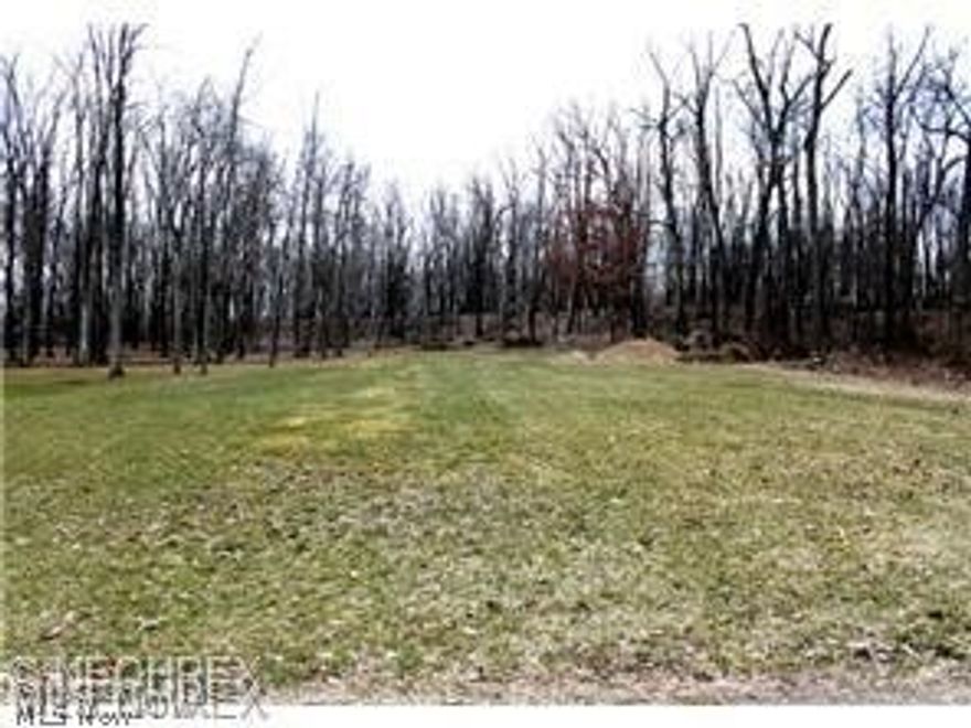 Awesome lot in Canton Township. Canton South Schools. Level lot, Wooded at the back of the property.
Public water, public sewer. Gas and electric at the street.