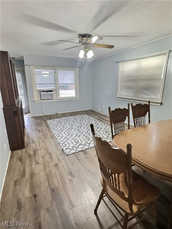 Proposed Drexel Park Allotment - Residential