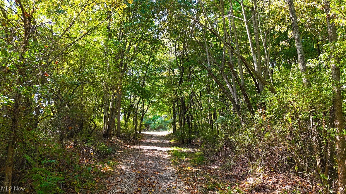 Sunnyside Road, Granville, Ohio image 16