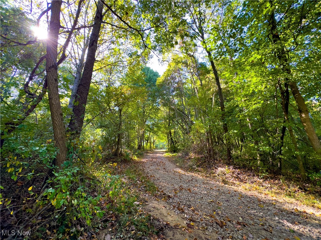 Sunnyside Road, Granville, Ohio image 15