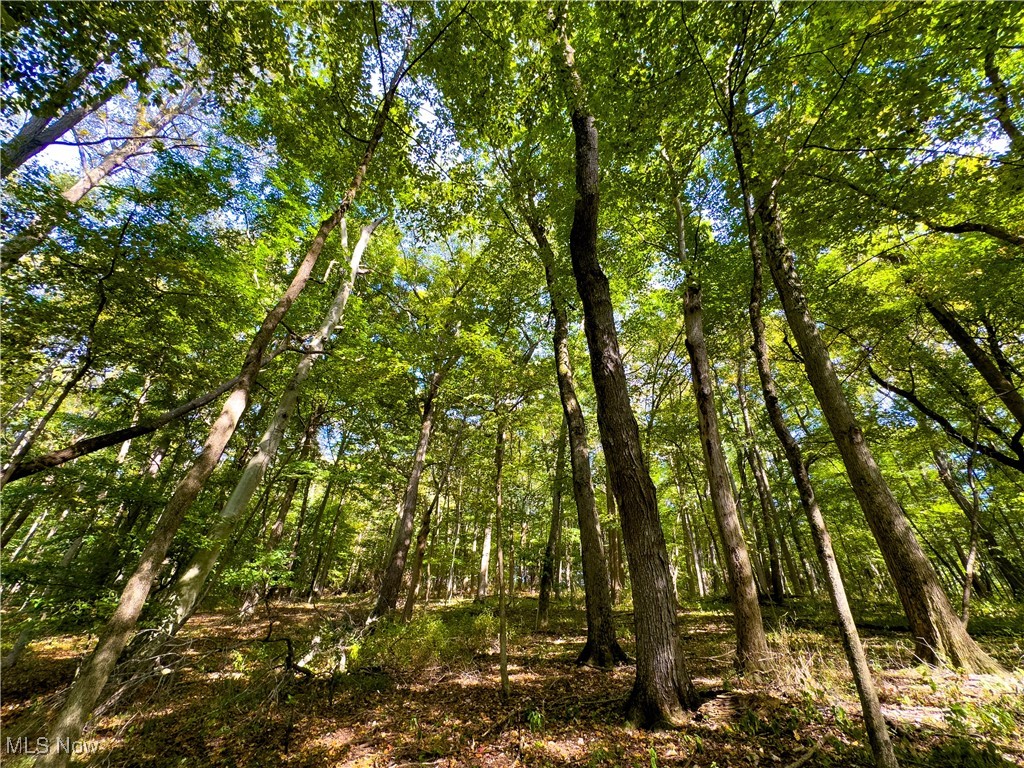 Sunnyside Road, Granville, Ohio image 36