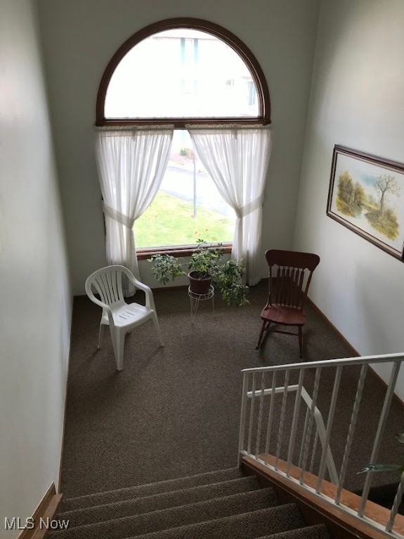 7386 Eisenhower Drive #6, Youngstown, Ohio image 17