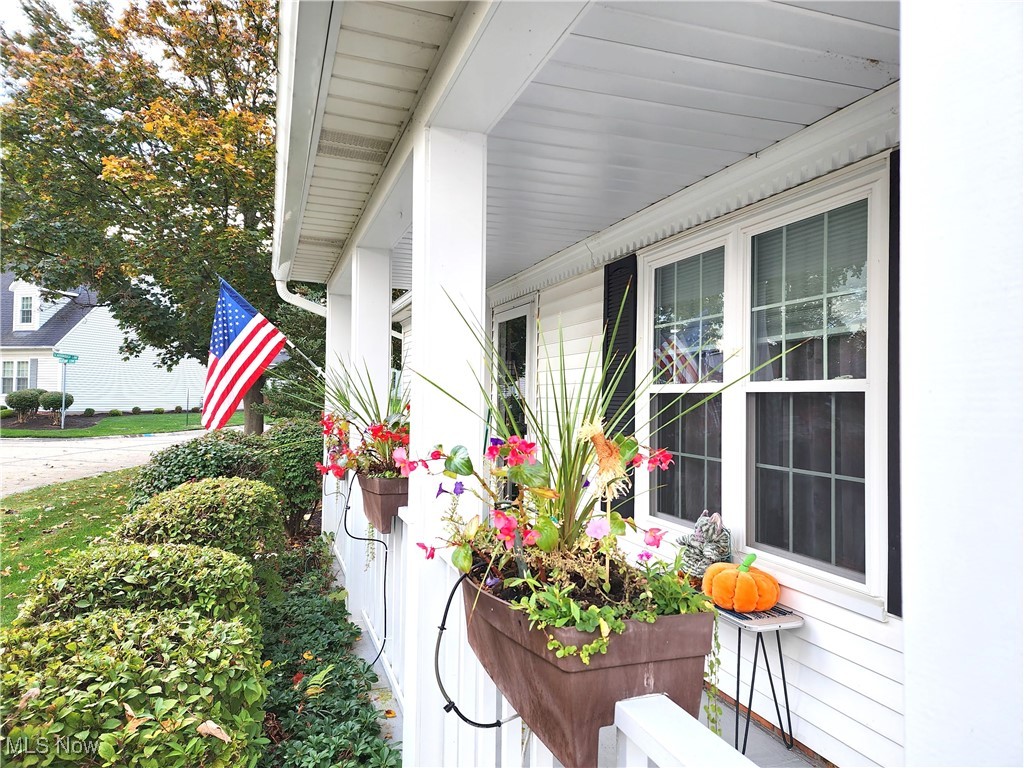 Chesapeake Cove - Residential