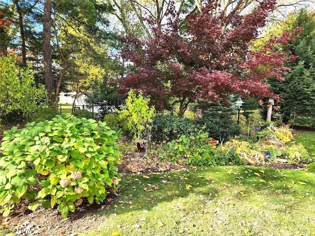 Chesapeake Cove - Residential