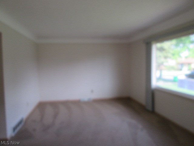 Carpenter - Residential