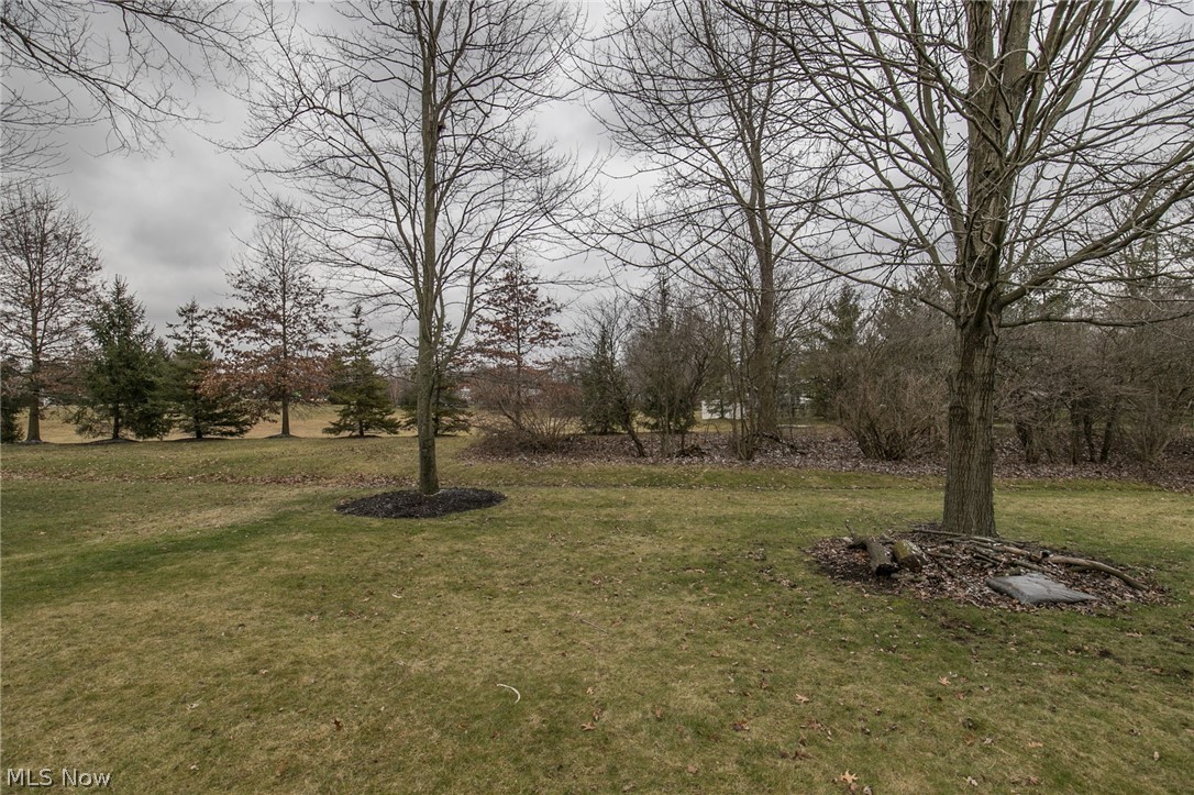 The Woods of Strongsville - Residential