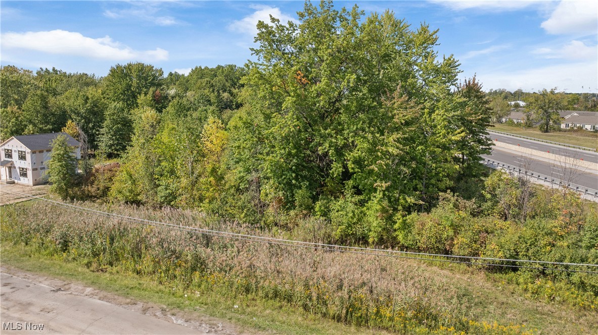 Bagley Road, North Ridgeville, Ohio image 8