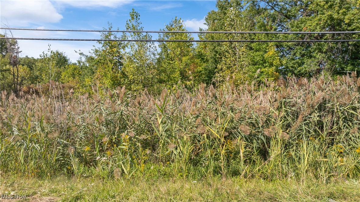 Bagley Road, North Ridgeville, Ohio image 1