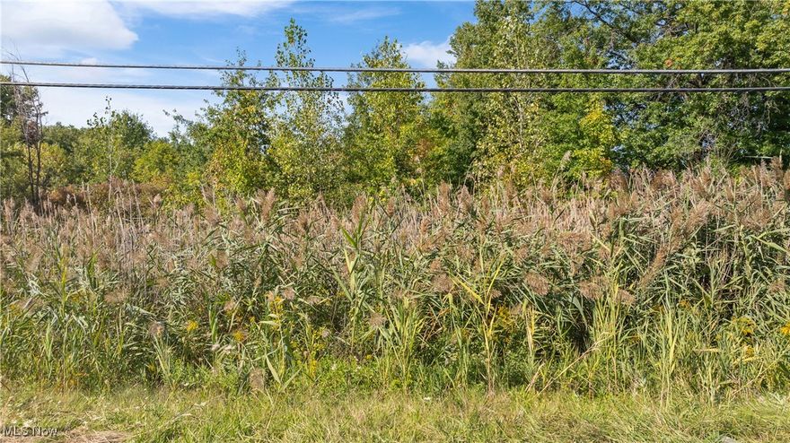 This 0.95-acre lot offers the perfect canvas for your dream home. With sewer, electricity, and gas services available, the groundwork is laid for your vision. This lot is just minutes from schools, parks, major highways, and shopping destinations. You don't want to miss this opportunity!