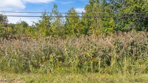 Vacant Land For Sale - Bagley Road<br/> North Ridgeville, OH 44039