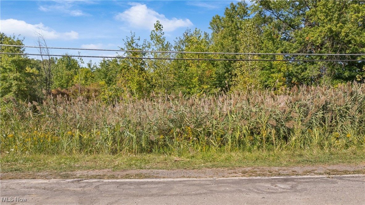 Bagley Road, North Ridgeville, Ohio image 4