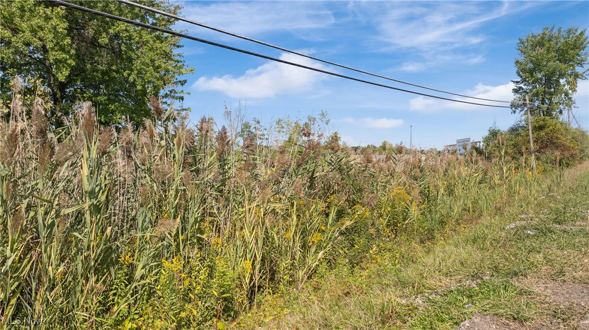 Bagley Road, North Ridgeville, Ohio image 6