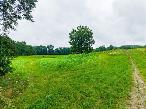Tiny photo for Pigeon Gap Road, Cambridge, OH 43725 (MLS # 5238558)