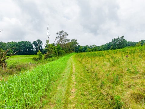 Tiny photo for Pigeon Gap Road, Cambridge, OH 43725 (MLS # 5238558)