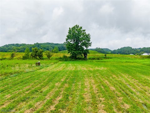 Tiny photo for Pigeon Gap Road, Cambridge, OH 43725 (MLS # 5238558)