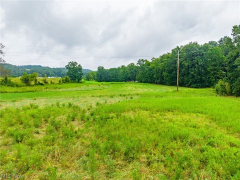 Tiny photo for Pigeon Gap Road, Cambridge, OH 43725 (MLS # 5238558)