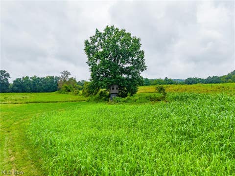 Tiny photo for Pigeon Gap Road, Cambridge, OH 43725 (MLS # 5238558)