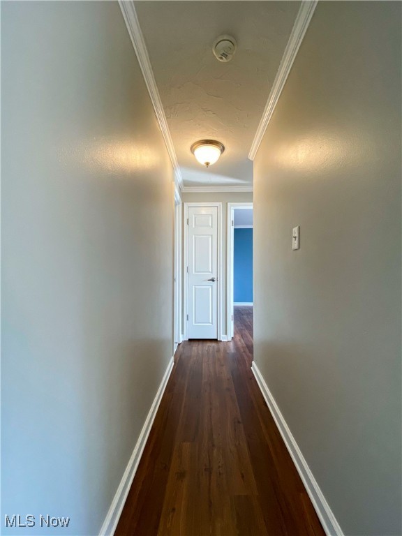 Carlyle Condo - Residential