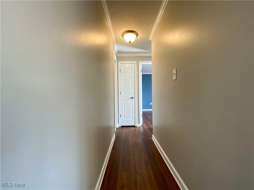 Carlyle Condo - Residential