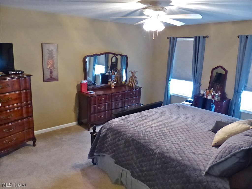 Raintree Park - Residential