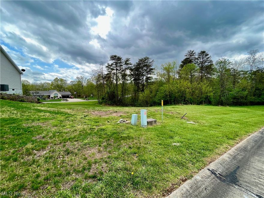 Some vision and thoughtful home design is all that's needed to see what could be if the character of this lot was your guide.  "Not a drive-by" is the absolute truth here!  In ground utilities, Warren Schools. Bring your builder and your offers!