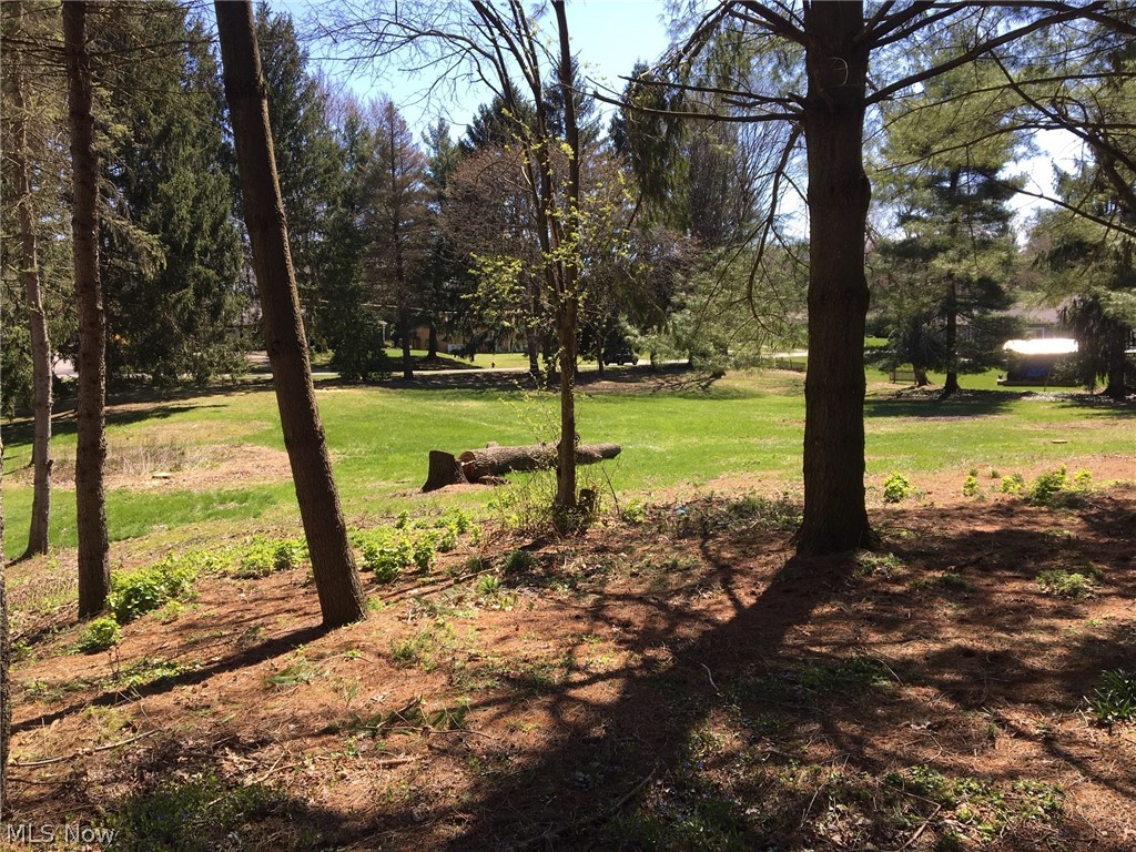 Uniontown Knolls - Land