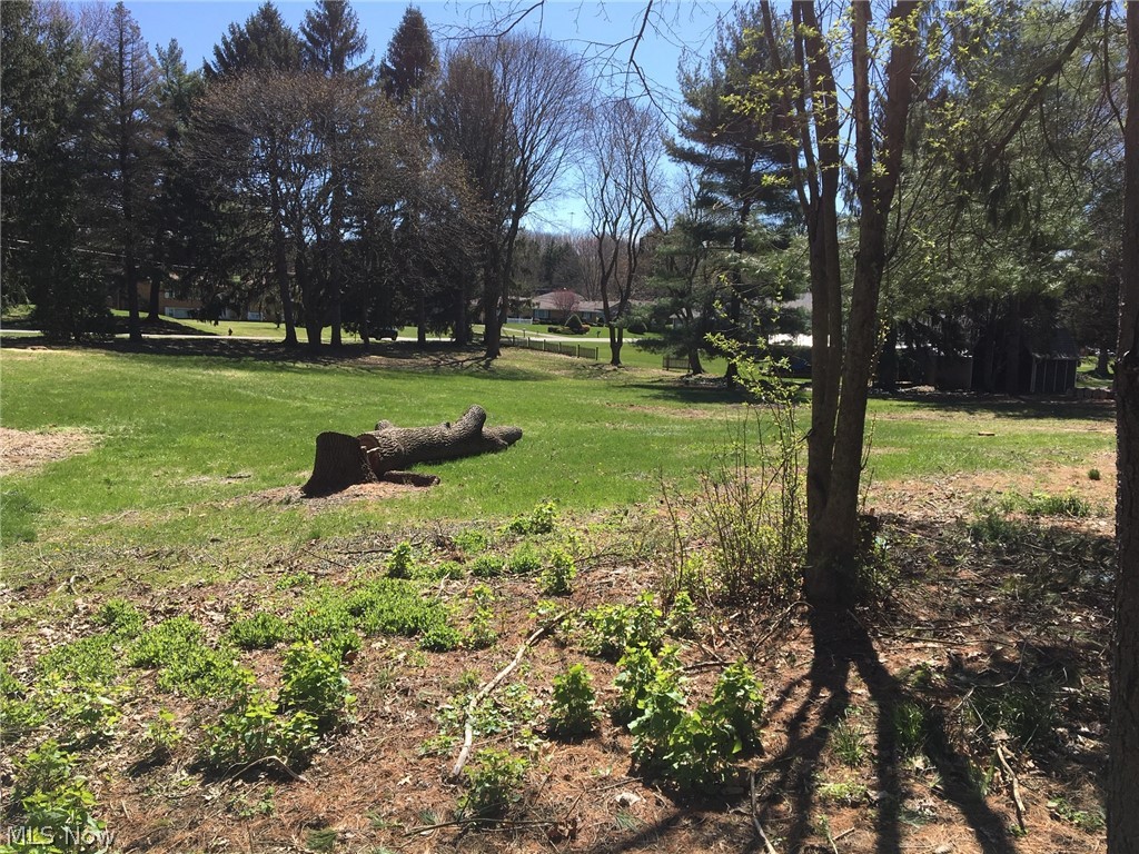 Uniontown Knolls - Land