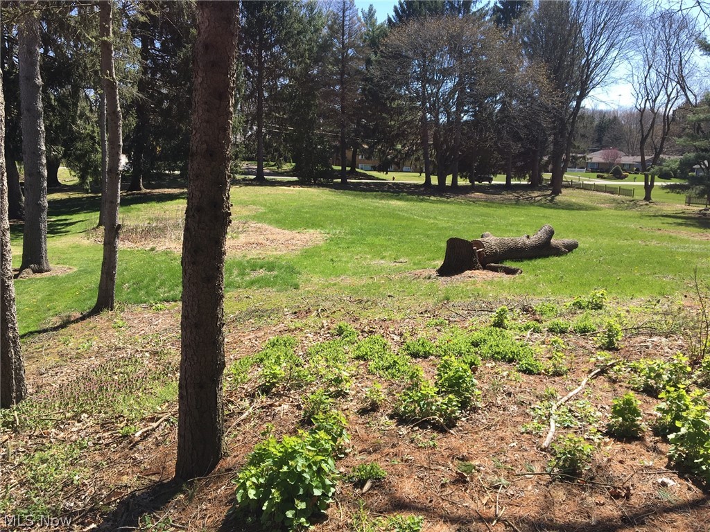 Uniontown Knolls - Land