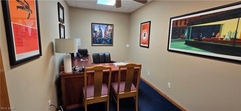 Tiny photo for 1004 Vivian Drive, Grafton, OH 44044 (MLS # 5192331)