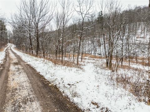 Vacant Land For Sale - Se Deerhorn Road<br/> Tippecanoe, OH 44699