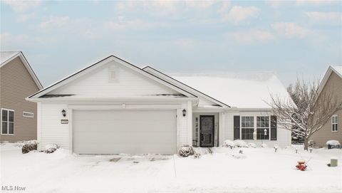 Homes For Sale - 5398 Lake Forest Reserve Lane<br/> Brunswick, OH 44212