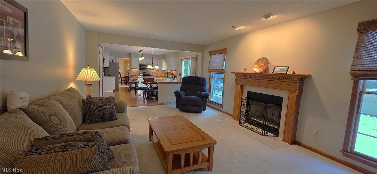 Echo Lake - Residential