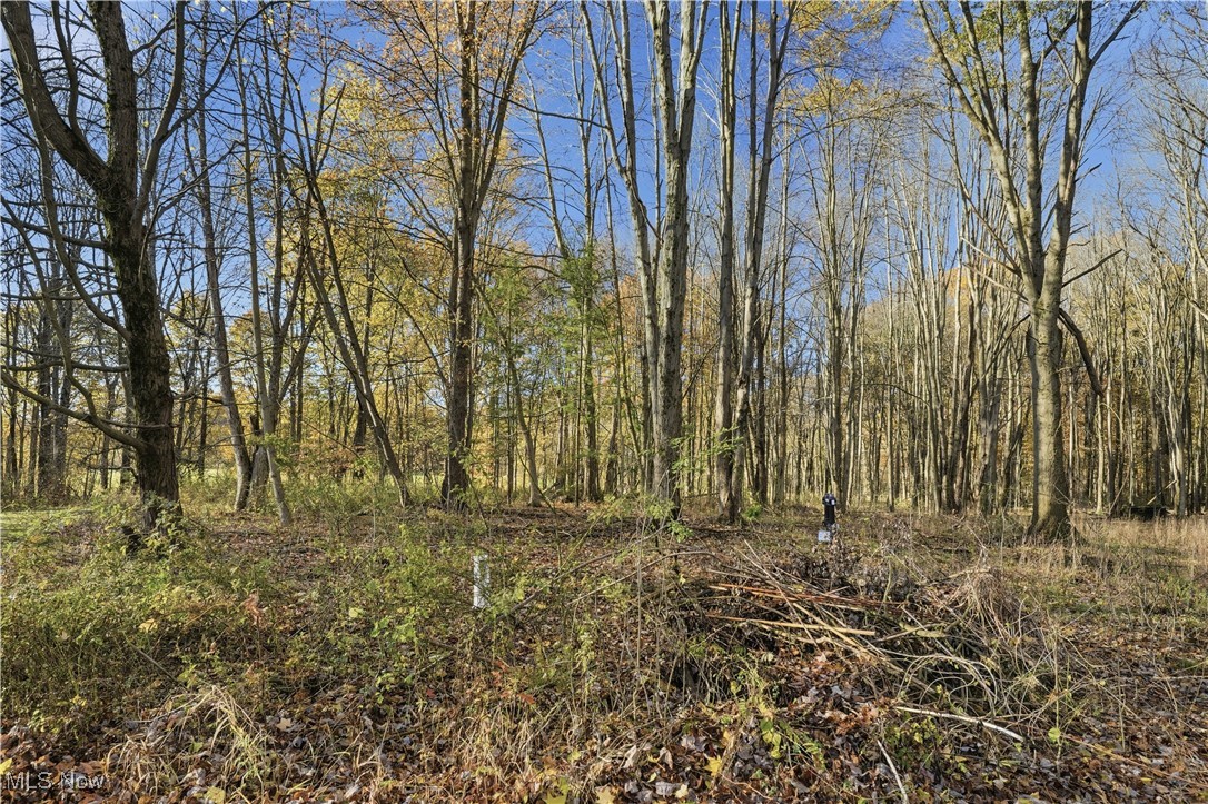 Wilson S W - Residential