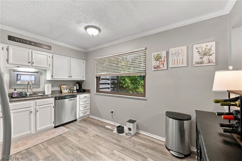 Tiny photo for 7033 Buckhurst Place, Concord Township, OH 44060 (MLS # 5255170)