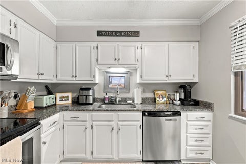Tiny photo for 7033 Buckhurst Place, Concord Township, OH 44060 (MLS # 5255170)